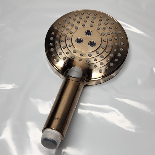 Hansgrohe 26014140 raindance - hansgrohe,